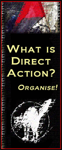 What is Direct Action? by Organise! (Ireland)