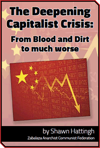 The Deepening Capitalist Crisis - Shawn Hattingh [ZACF]