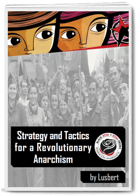 Strategy and Tactics for a Revolutionary Anarchism by Lusbert