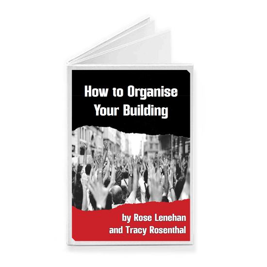 How to Organise Your Building by Rose Lenehan and Tracy Rosenthal